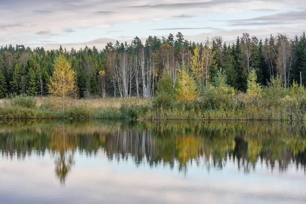 Herfst gekleurde bomen aan de oever van lake met reflecties in wa — Stockfoto