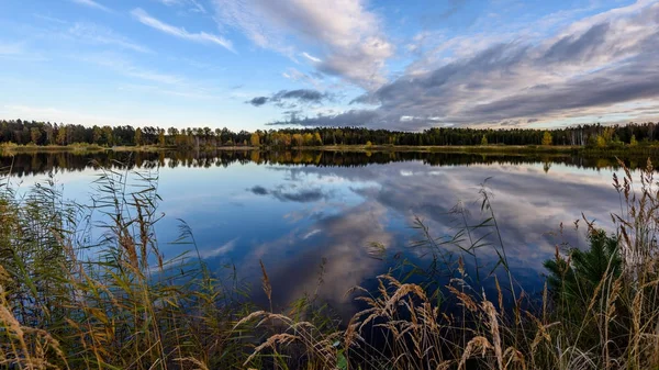 sonbahar renkli ağaçlar yansımaları WA ile göl kıyısında
