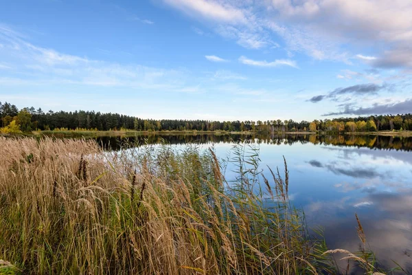 sonbahar renkli ağaçlar yansımaları WA ile göl kıyısında