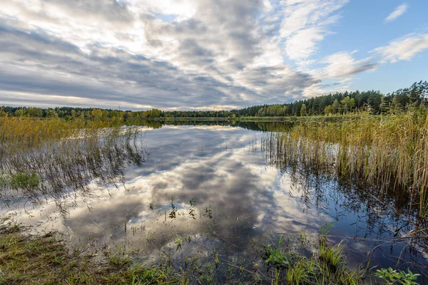 Autumn colored trees on the shore of lake with reflections in wa — Stock Photo, Image