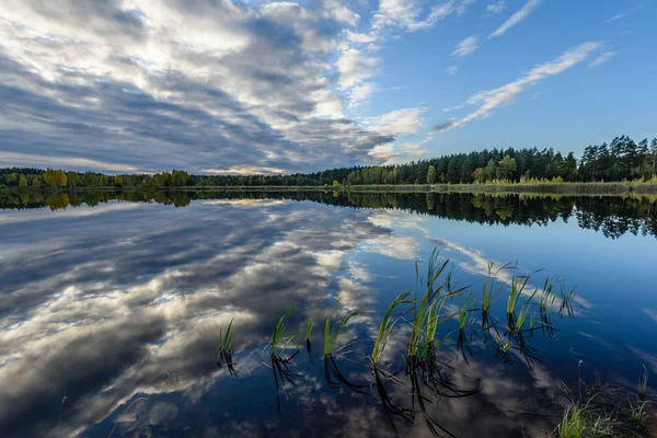 Arbres de couleur automne sur la rive du lac avec des reflets en wa — Photo