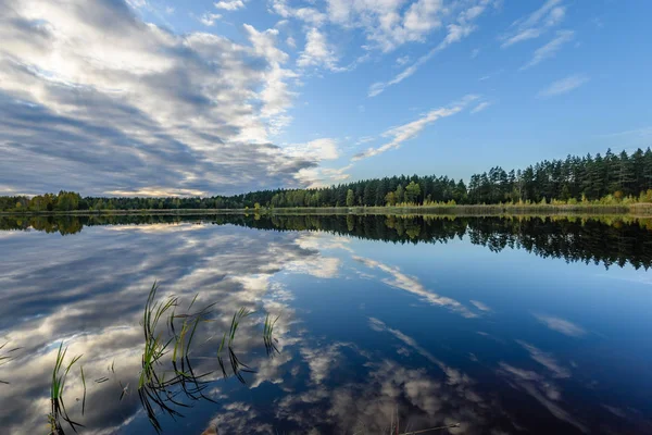 sonbahar renkli ağaçlar yansımaları WA ile göl kıyısında