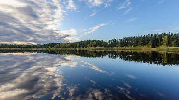 sonbahar renkli ağaçlar yansımaları WA ile göl kıyısında