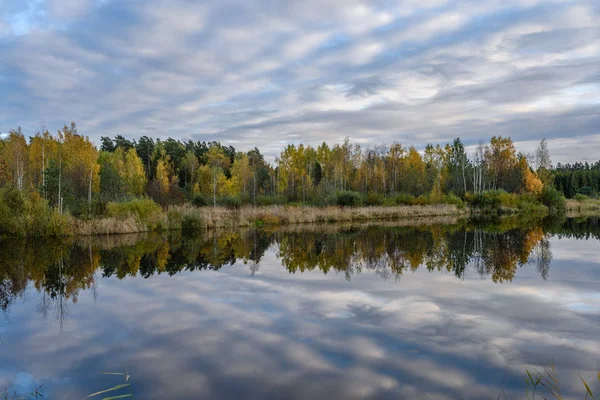 sonbahar renkli ağaçlar yansımaları WA ile göl kıyısında