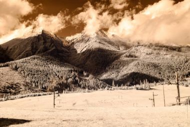 dağ manzara orman. kızılötesi görüntü