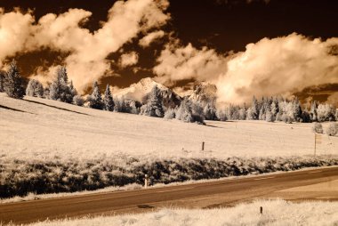 dağ manzara orman. kızılötesi görüntü