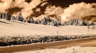 dağ manzara orman. kızılötesi görüntü