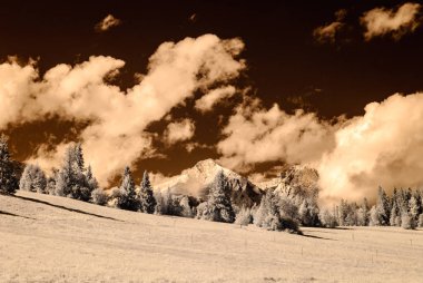 dağ manzara orman. kızılötesi görüntü