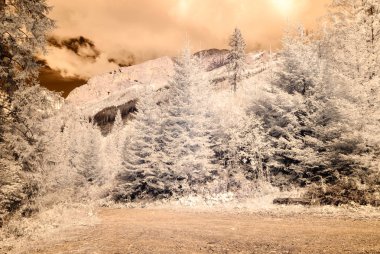 dağ manzara orman. kızılötesi görüntü
