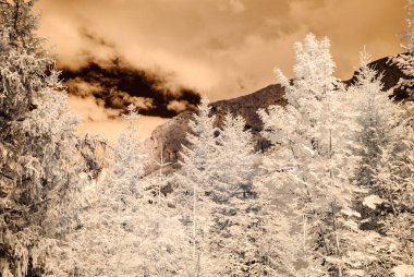 dağ manzara orman. kızılötesi görüntü