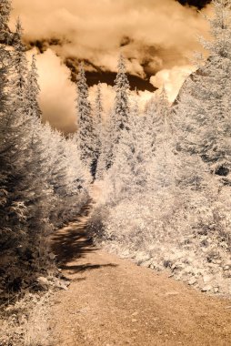 dağ manzara orman. kızılötesi görüntü