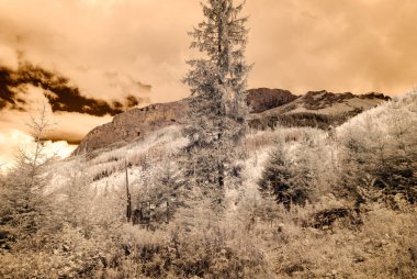 dağ manzara orman. kızılötesi görüntü