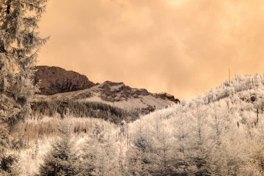dağ manzara orman. kızılötesi görüntü