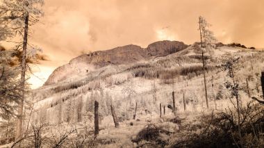 dağ manzara orman. kızılötesi görüntü