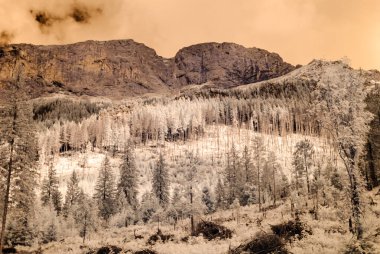 dağ manzara orman. kızılötesi görüntü