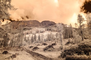 dağ manzara orman. kızılötesi görüntü