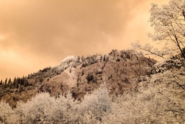 dağ manzara orman. kızılötesi görüntü