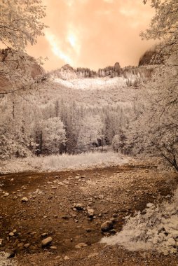 dağ manzara orman. kızılötesi görüntü
