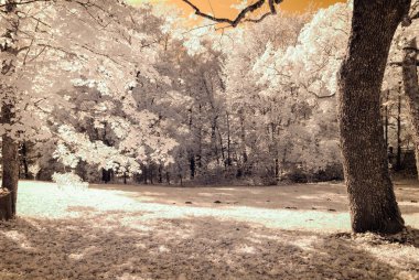 kamu Parkı Turaida Sigulda, Letonya görünümünde. kızılötesi görüntü