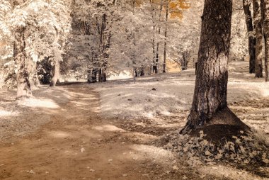 kamu Parkı Turaida Sigulda, Letonya görünümünde. kızılötesi görüntü