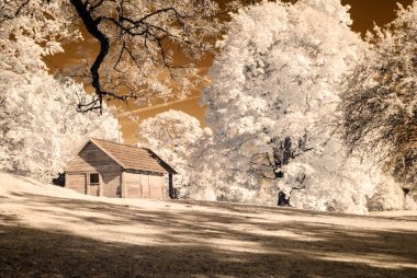 kamu Parkı Turaida Sigulda, Letonya görünümünde. kızılötesi görüntü