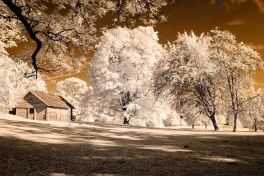 kamu Parkı Turaida Sigulda, Letonya görünümünde. kızılötesi görüntü