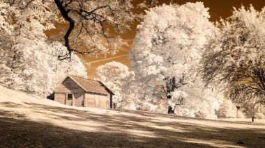 kamu Parkı Turaida Sigulda, Letonya görünümünde. kızılötesi görüntü