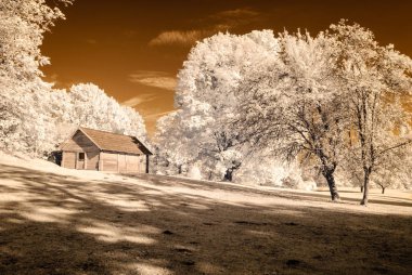 kamu Parkı Turaida Sigulda, Letonya görünümünde. kızılötesi görüntü