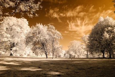 kamu Parkı Turaida Sigulda, Letonya görünümünde. kızılötesi görüntü