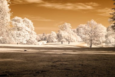 kamu Parkı Turaida Sigulda, Letonya görünümünde. kızılötesi görüntü