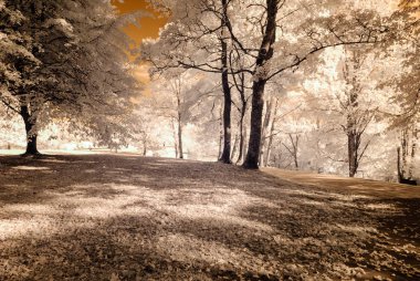 kamu Parkı Turaida Sigulda, Letonya görünümünde. kızılötesi görüntü