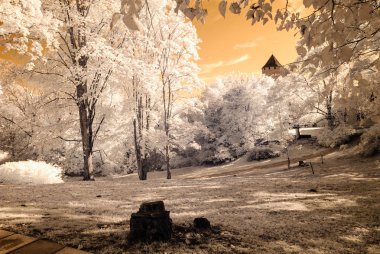 kamu Parkı Turaida Sigulda, Letonya görünümünde. kızılötesi görüntü