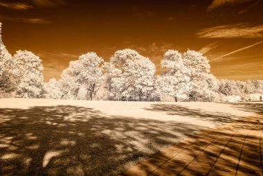 kamu Parkı Turaida Sigulda, Letonya görünümünde. kızılötesi görüntü