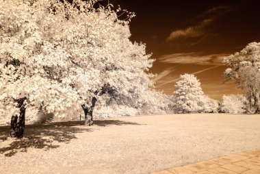 kamu Parkı Turaida Sigulda, Letonya görünümünde. kızılötesi görüntü