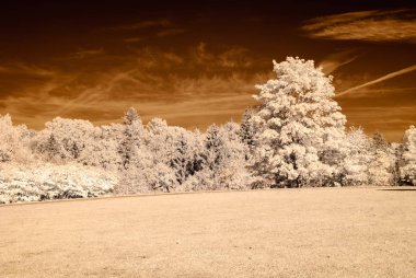 kamu Parkı Turaida Sigulda, Letonya görünümünde. kızılötesi görüntü