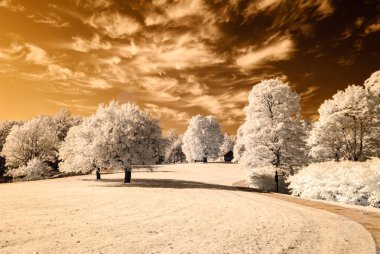 kamu Parkı Turaida Sigulda, Letonya görünümünde. kızılötesi görüntü