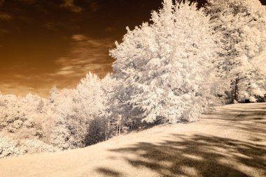 kamu Parkı Turaida Sigulda, Letonya görünümünde. kızılötesi görüntü