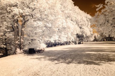 kamu Parkı Turaida Sigulda, Letonya görünümünde. kızılötesi görüntü