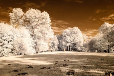 kamu Parkı Turaida Sigulda, Letonya görünümünde. kızılötesi görüntü
