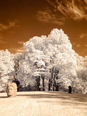 kamu Parkı Turaida Sigulda, Letonya görünümünde. kızılötesi görüntü