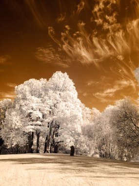 kamu Parkı Turaida Sigulda, Letonya görünümünde. kızılötesi görüntü