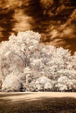 kamu Parkı Turaida Sigulda, Letonya görünümünde. kızılötesi görüntü
