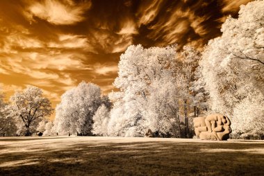 kamu Parkı Turaida Sigulda, Letonya görünümünde. kızılötesi görüntü