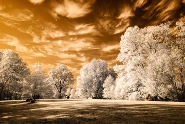 kamu Parkı Turaida Sigulda, Letonya görünümünde. kızılötesi görüntü