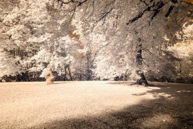 kamu Parkı Turaida Sigulda, Letonya görünümünde. kızılötesi görüntü