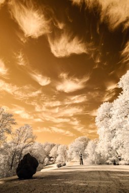 kamu Parkı Turaida Sigulda, Letonya görünümünde. kızılötesi görüntü