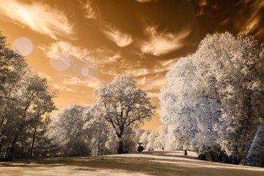 kamu Parkı Turaida Sigulda, Letonya görünümünde. kızılötesi görüntü