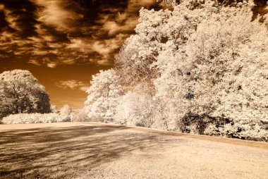 kamu Parkı Turaida Sigulda, Letonya görünümünde. kızılötesi görüntü
