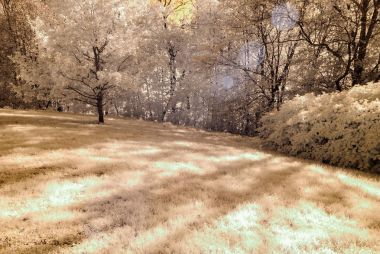 kamu Parkı Turaida Sigulda, Letonya görünümünde. kızılötesi görüntü