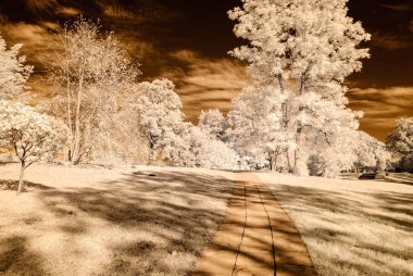 kamu Parkı Turaida Sigulda, Letonya görünümünde. kızılötesi görüntü
